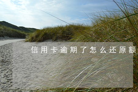 信用卡逾期了怎么还原额度 信用卡逾期了怎么还原额度