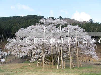 信用卡逾期了怎么还在消费 信用卡逾期了怎么还在消费