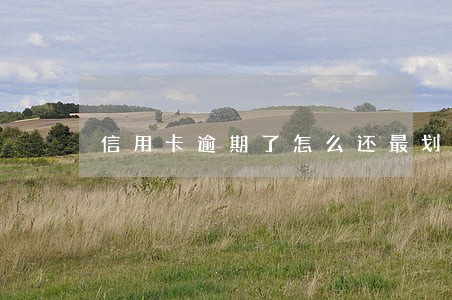 信用卡逾期了怎么还最划算