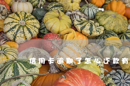 信用卡逾期了怎么还款有利 信用卡逾期了怎么还款有利