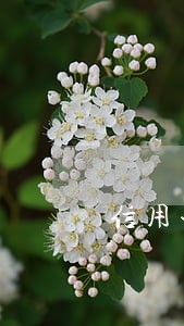 信用卡逾期了怎么还款记录 信用卡逾期了怎么还款记录