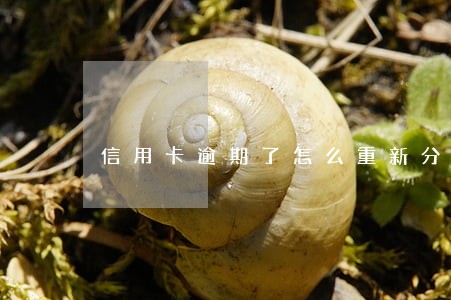 信用卡逾期了怎么重新分期 信用卡逾期了怎么重新分期