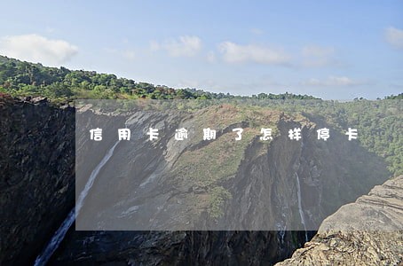 信用卡逾期了怎样停卡 信用卡逾期了怎样停卡