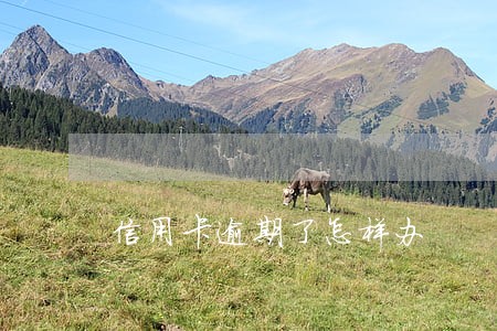 信用卡逾期了怎样办