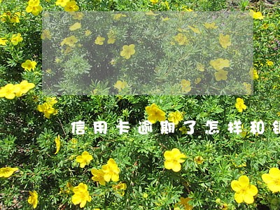 信用卡逾期了怎样和银行协商好 信用卡逾期了怎样和银行协商好