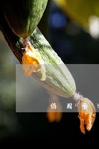 信用卡逾期了怎样才能解除 信用卡逾期了怎样才能解除