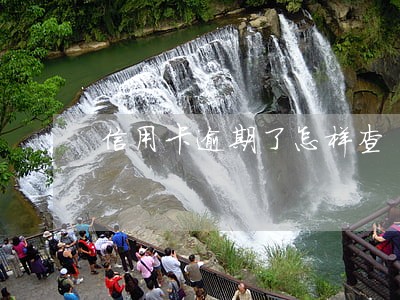 信用卡逾期了怎样查