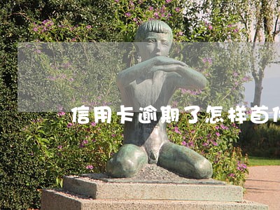 信用卡逾期了怎样首付 信用卡逾期了怎样首付