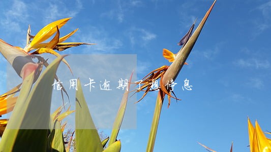 信用卡逾期了想停息 信用卡逾期了想停息