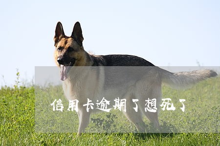 信用卡逾期了想死了 信用卡逾期了想死了