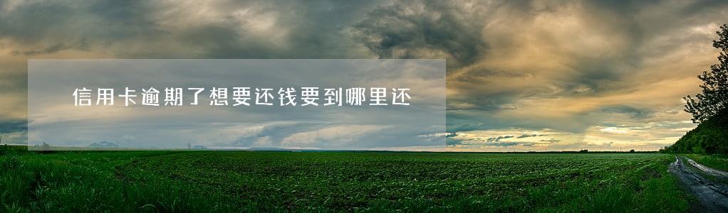 信用卡逾期了想要还钱要到哪里还