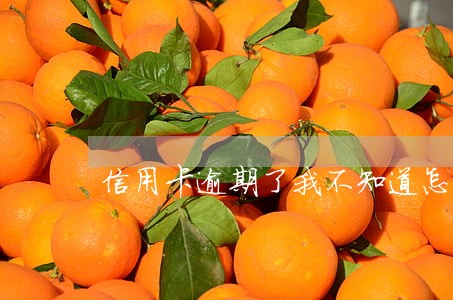 信用卡逾期了我不知道怎么办 信用卡逾期了我不知道怎么办