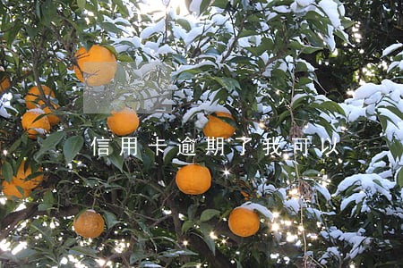 信用卡逾期了我可以 信用卡逾期了我可以
