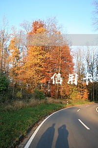 信用卡逾期了我可以去哪提问