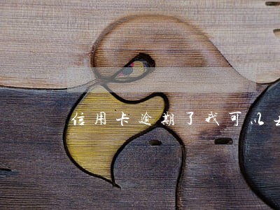 信用卡逾期了我可以去哪里提问 信用卡逾期了我可以去哪里提问