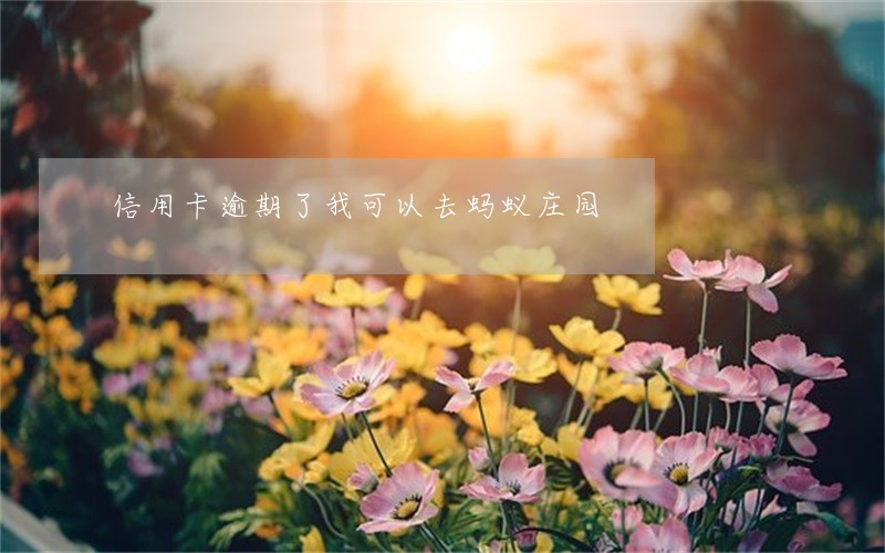 信用卡逾期了我可以去蚂蚁庄园