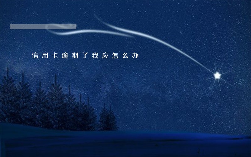 信用卡逾期了我应怎么办 信用卡逾期了我应怎么办