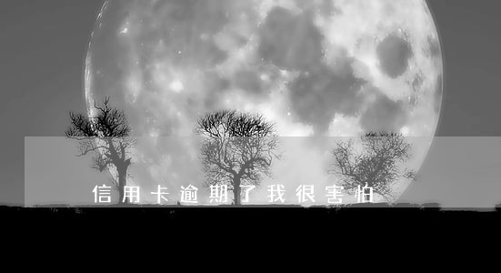 信用卡逾期了我很害怕 信用卡逾期了我很害怕