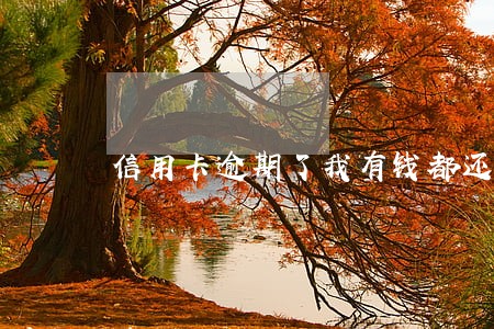 信用卡逾期了我有钱都还进去了 信用卡逾期了我有钱都还进去了