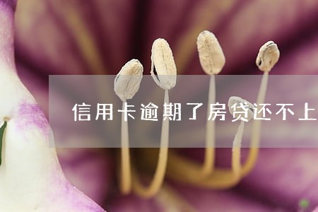 信用卡逾期了房贷还不上 信用卡逾期了房贷还不上