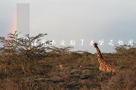 信用卡逾期了房贷还能用吗 信用卡逾期了房贷还能用吗