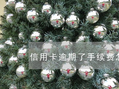 信用卡逾期了手续费怎么算的 信用卡逾期了手续费怎么算的