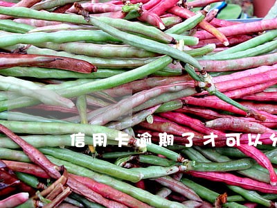 信用卡逾期了才可以分期吗
