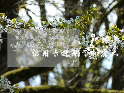 信用卡逾期了扣费么 信用卡逾期了扣费么