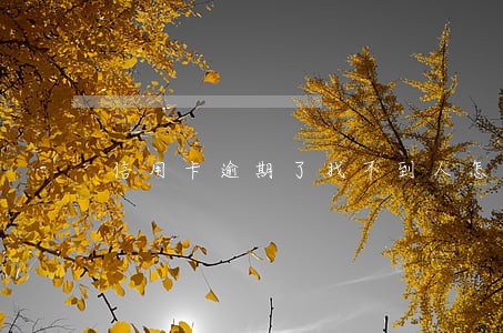 信用卡逾期了找不到人怎么办