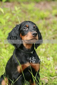 信用卡逾期了找谁借钱 信用卡逾期了找谁借钱