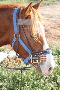 信用卡逾期了找金融简单说