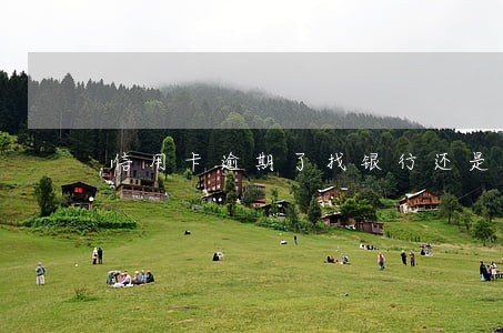 信用卡逾期了找银行还是协商 信用卡逾期了找银行还是协商