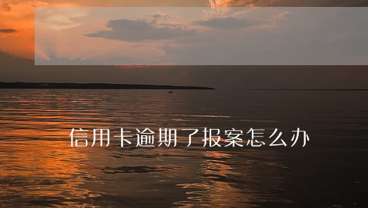 信用卡逾期了报案怎么办