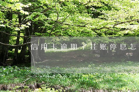 信用卡逾期了挂账停息怎么办 信用卡逾期了挂账停息怎么办