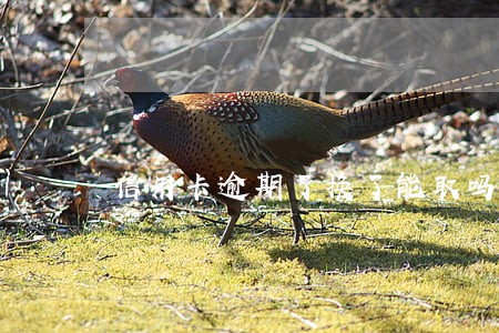 信用卡逾期了换了能取吗