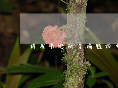 信用卡逾期了换电话号码能查到吗 信用卡逾期了换电话号码能查到吗