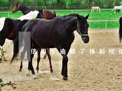 信用卡逾期了接到短信到案通知 信用卡逾期了接到短信到案通知