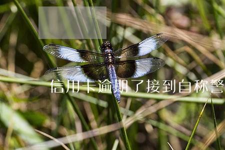 信用卡逾期了接到自称警察的电话 信用卡逾期了接到自称警察的电话