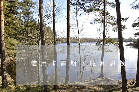信用卡逾期了收利息钱 信用卡逾期了收利息钱