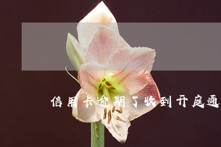 信用卡逾期了收到开庭通知 信用卡逾期了收到开庭通知