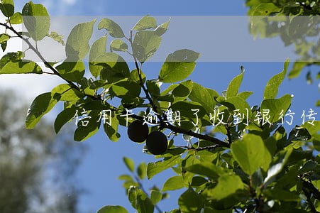 信用卡逾期了收到银行传票怎么办
