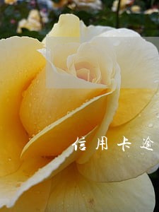 信用卡逾期了放心借放款吗