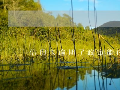 信用卡逾期了政审能过吗 信用卡逾期了政审能过吗