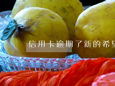 信用卡逾期了新的希望已经出现 信用卡逾期了新的希望已经出现