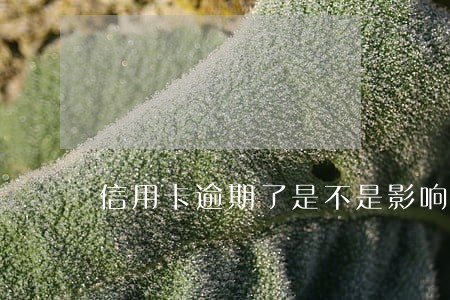 信用卡逾期了是不是影响房贷