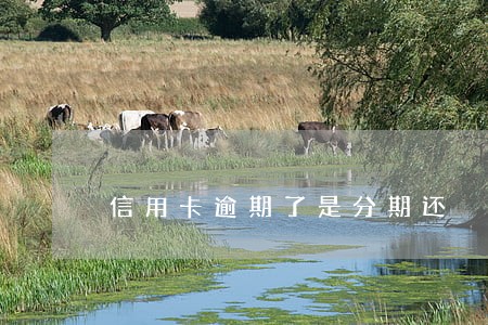 信用卡逾期了是分期还 信用卡逾期了是分期还