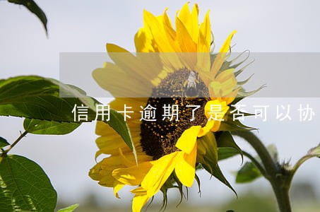 信用卡逾期了是否可以协商