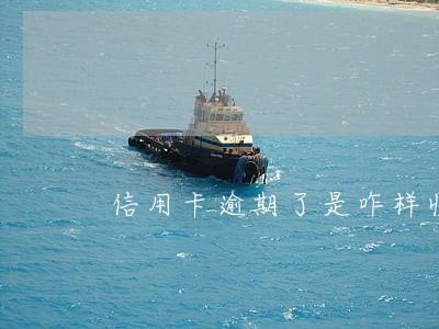 信用卡逾期了是咋样收费的 信用卡逾期了是咋样收费的