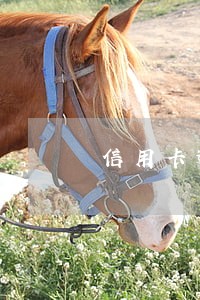信用卡逾期了是多少利息 信用卡逾期了是多少利息