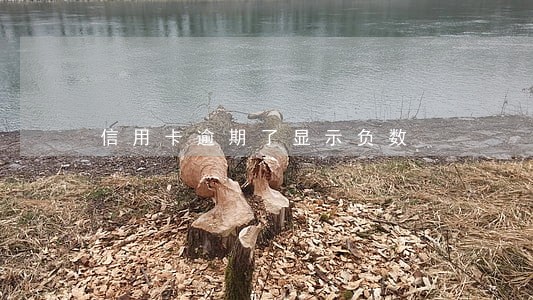 信用卡逾期了显示负数 信用卡逾期了显示负数